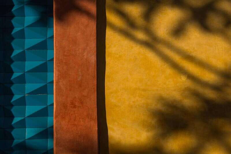 Oaxaca walking tour with a local photographer - Key highlights you’ll feel right away
