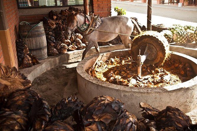 Private Tour, all inclusive: Tlacochahuaya, Mezcal, Teotitlán del Valle - Stop 5: Pantaleón Ruiz Studio for etchings and metal sculpture